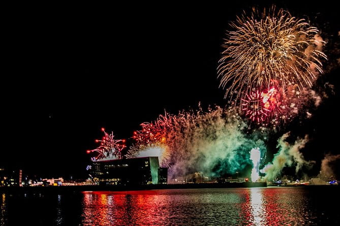 New Year's Eve Fireworks Cruise in Reykjavik - The Fireworks: A Spectacle to Remember