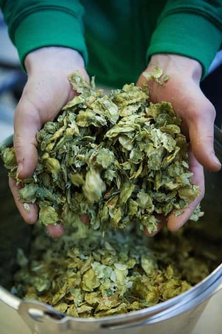 Night time tour of Harstad Craft Brewery - Price and Value: What’s the Bottom Line?