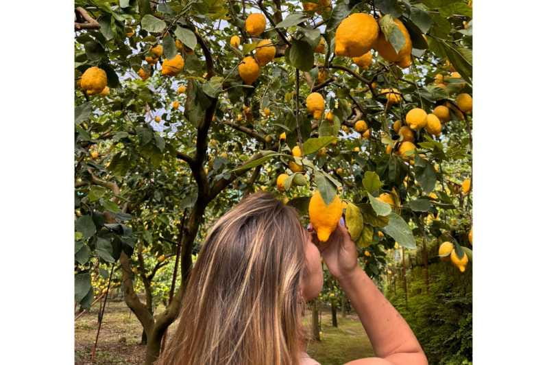 Nonno Mario Lemon Tour - Deep Dive into the Lemon Grove Experience