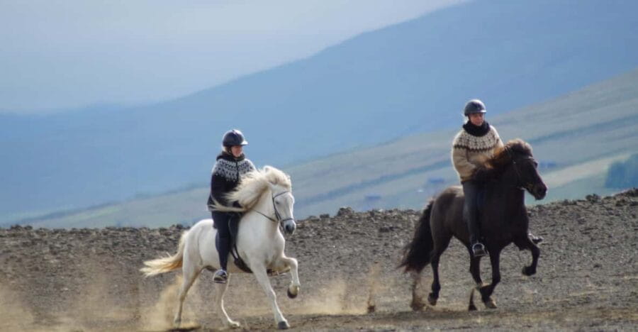 North Iceland: Horseback Riding Tour - Who Will Love This Tour?