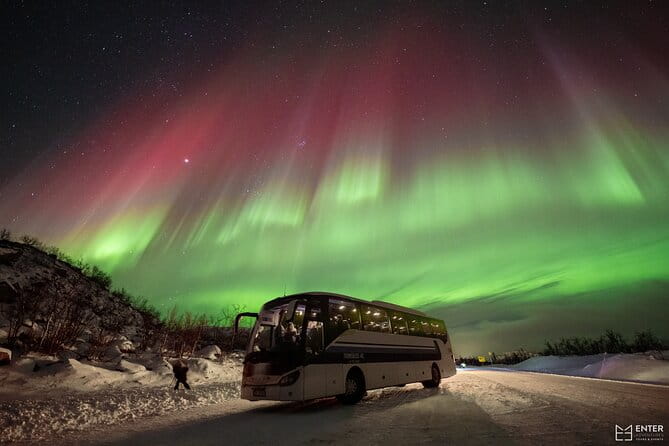 Northern Lights Guided Bus Tour with Snacks Hot drinks - The Experience: From Departure to Aurora Sightings