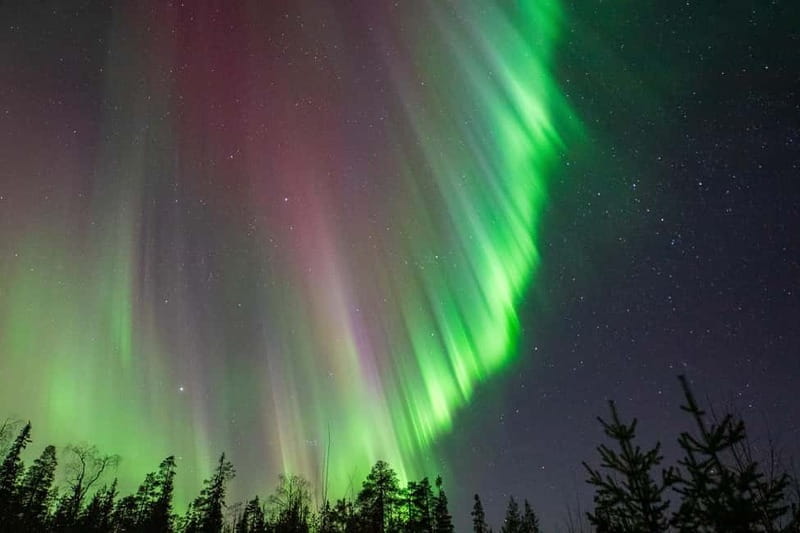 Northern Lights Hunting and Photography Tour - Small Group - The Fine Details: What to Expect