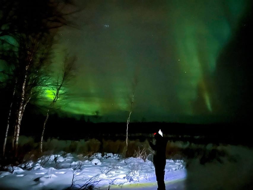 Northern lights private tour Rovaniemi - Who Is This Tour Best For?