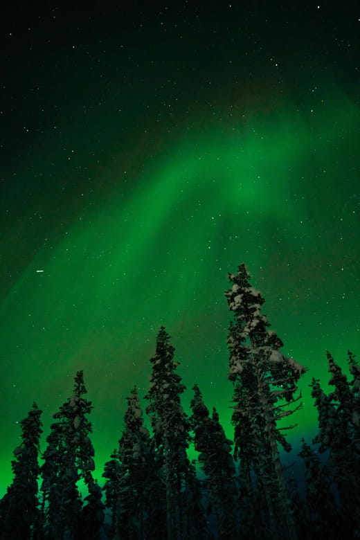 Northern Lights Reindeer Sledge Ride - Who Would Enjoy This Tour?