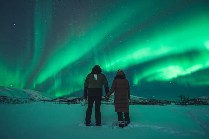Northern Lights Tour in Tromso - The Experience in Detail