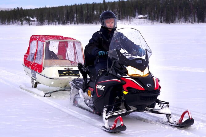 Northern Lights Tour Sleigh Ride - Price and Logistics: Worth the Investment?