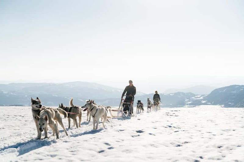 Norway: 2-Day Dogsledding Tour with Glacier Campsite - Who Should Book This Tour?
