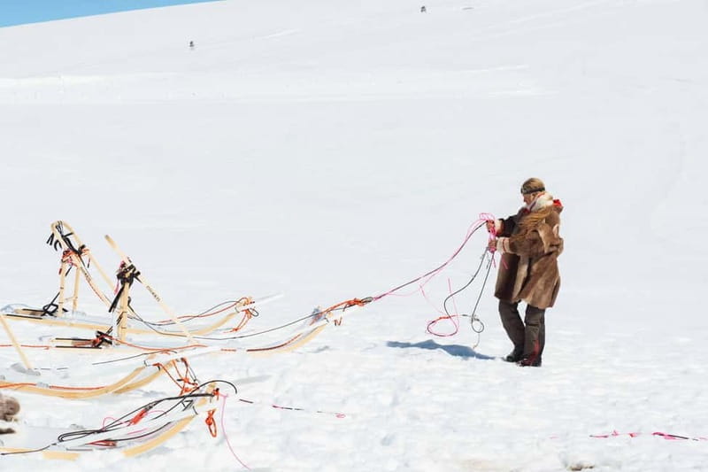 Norway: Half Day Dog Sledding on the Folgefonna Glacier - Cultural Touches: Norwegian Snacks & Cozy Moments