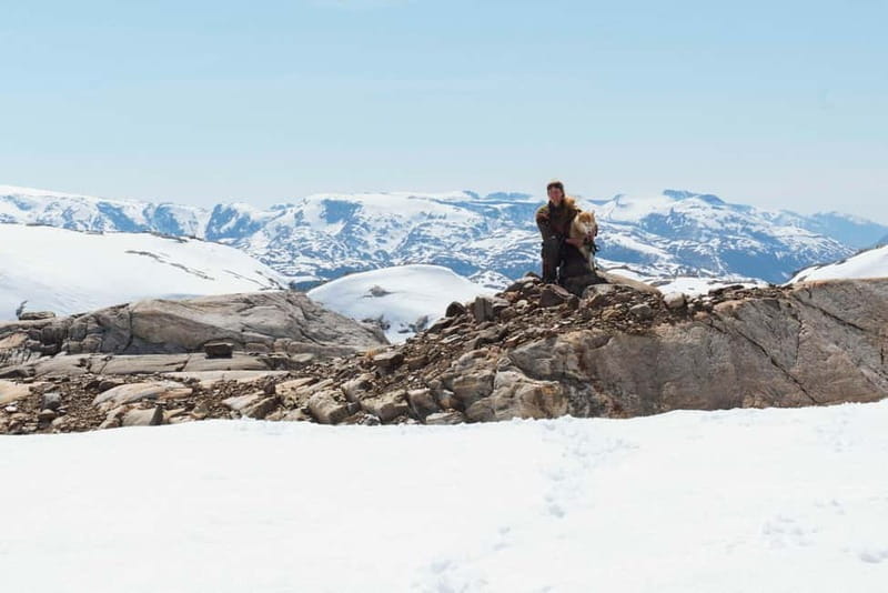 Norway: Overnight Stay at Glacier Campsite - Meeting the Huskies: More Than Just Pets