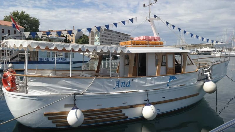 NP Brijuni Island Swimming & Dolphin Watching Sunset Cruise - Who Will Enjoy This Tour?