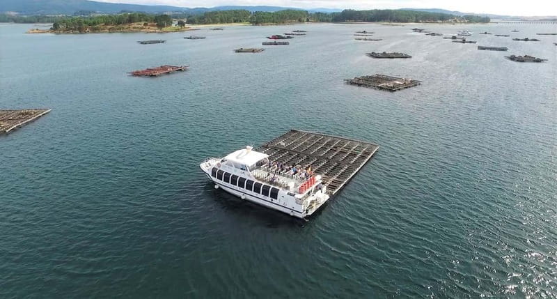 O Grove: Boat Tour with Mussel Tasting and Wine - Final Thoughts