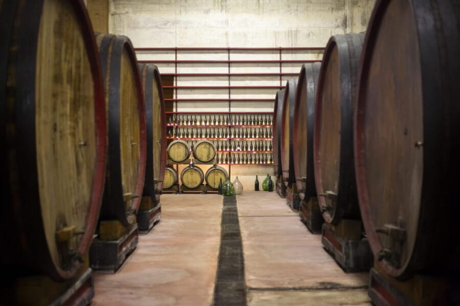 Offida: Tasting itinerary of Rosso Piceno DOC Superiore - Tasting the Four Wines: From Tradition to Innovation