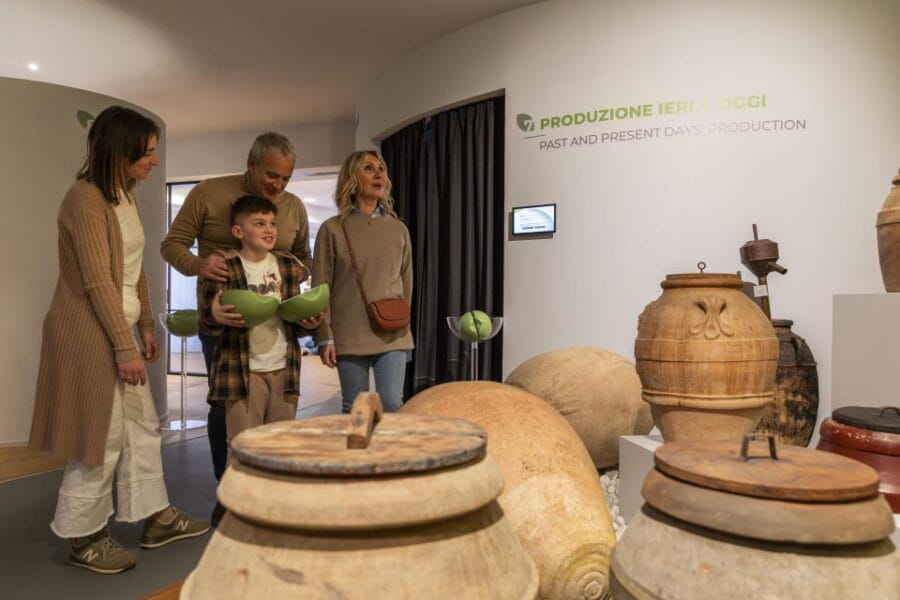 Oil Museum and Mill in Tuscany: interactive tour and tasting - Price and Logistics: Good Value for the Money