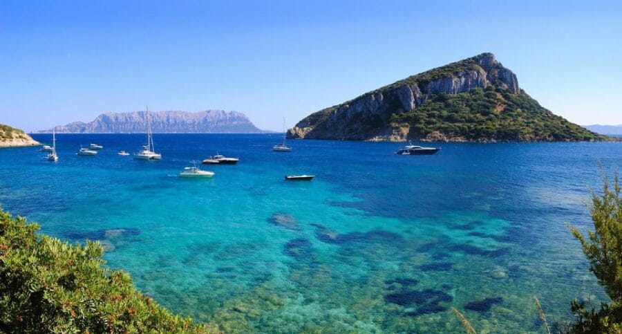 Olbia: Dolphin Watching and Snorkeling Boat Tour - The Role of the Guide and Group Dynamics