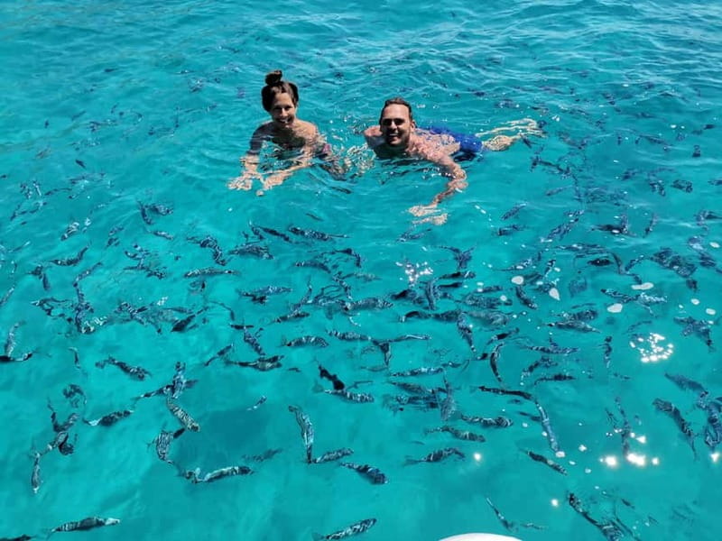 Olbia: Dolphin watching and snorkeling tour on Figarolo Island - Exploring the Itinerary in Detail