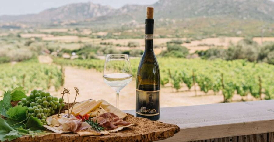 Olbia: Gallura Winery Guided Tour with Tasting - Who Should Consider This Tour?