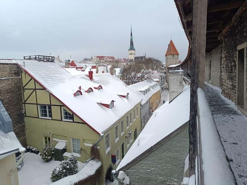 Old Tallinn & Medieval daily life Private Tour - Exploring Tallinn’s Medieval Streets: A Detailed Look