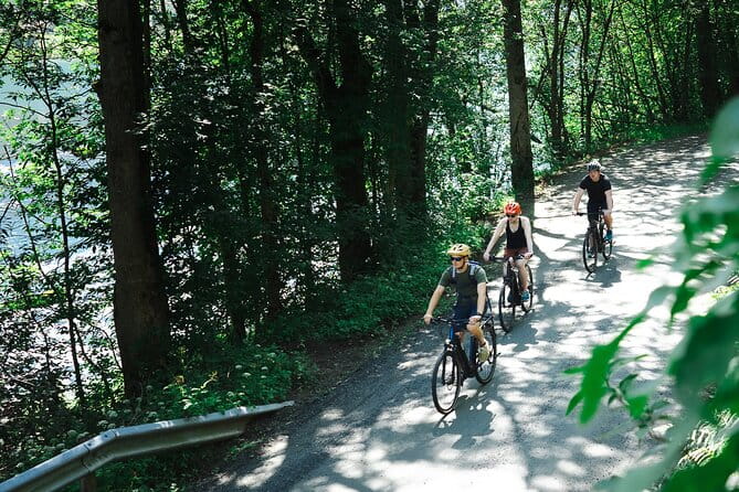Olden: Fjord e-bike tour - Exploring Olden: The Ultimate E-bike Experience