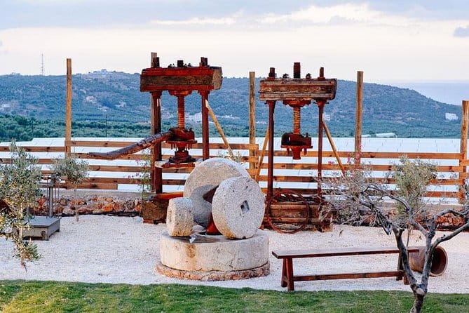 Olive Mill Festival - Price and Value: Does It Stand Up?