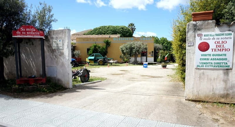 Olive Oil Museum: Extravirgin school - Food & wine tasting - Entering the World of Sardinian Olive Oil