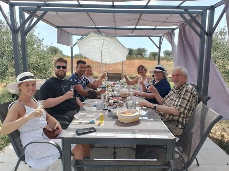 Olive Oil Seminar with Tasting in Metaggitsi - Halkidiki. - Learning to Recognize Quality Olive Oil