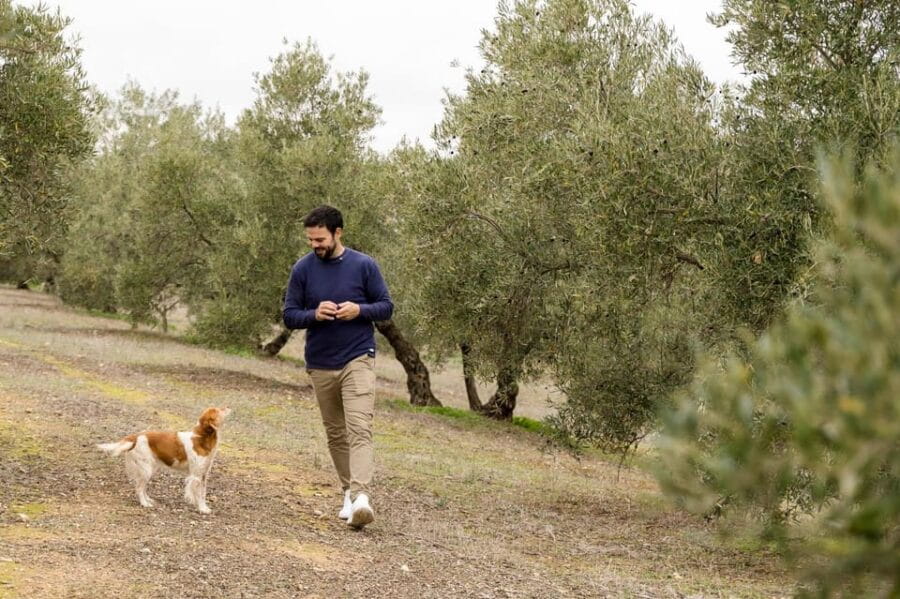 OLIVE OIL & WINE TOUR Organic fields - 5 Wines + 3Olive Oils - Walking Among Centuries-Old Trees in Organic Fields