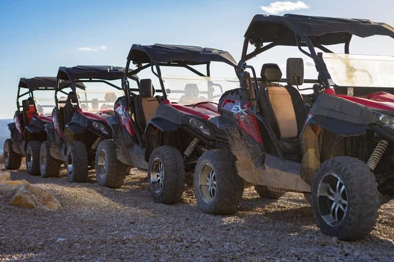 Omi: 2-Person Buggy Tour with Lunch and Wine Tasting - Price and Value