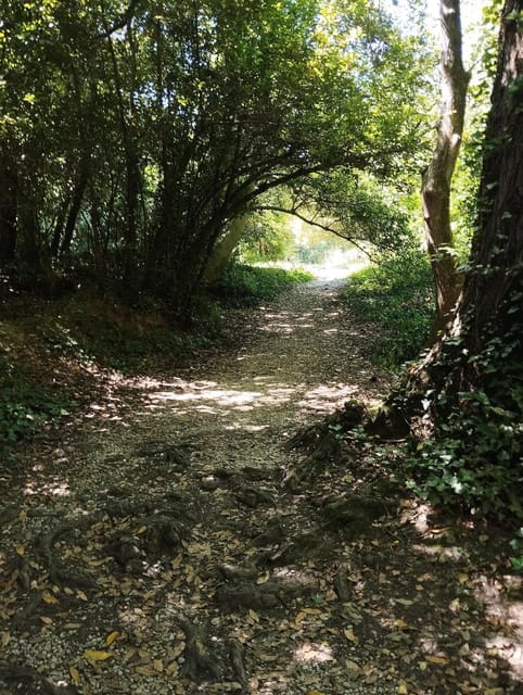 Omi, Croatia: Cetina River Glassboat Cruise And Beer Garden - Final thoughts: Why you should consider this trip