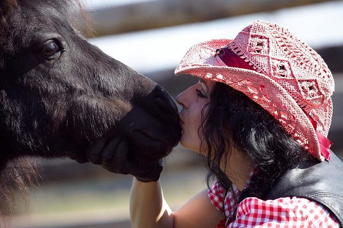 One day in the polish countryside- private tour from Krakow - What’s Included and What It Means for You