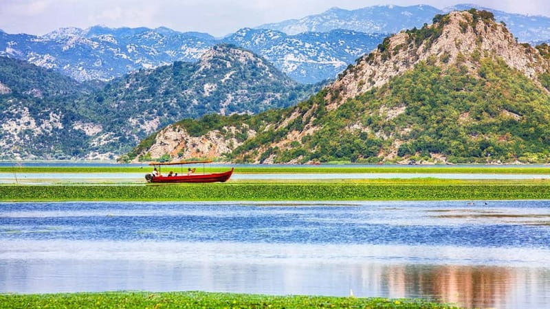 One day trip to Skadar Lake from Tivat - Skadar Lake: What to Expect During Your Day