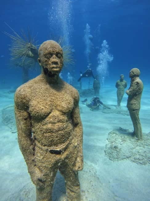 Open Water Course Scuba Diving - Who Will Benefit Most from This Course?