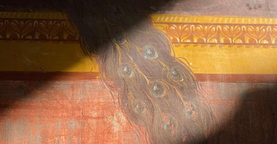 Oplontis Villa: Private Guided Tour with your Archaeologist - Price, Logistics, and Practical Tips