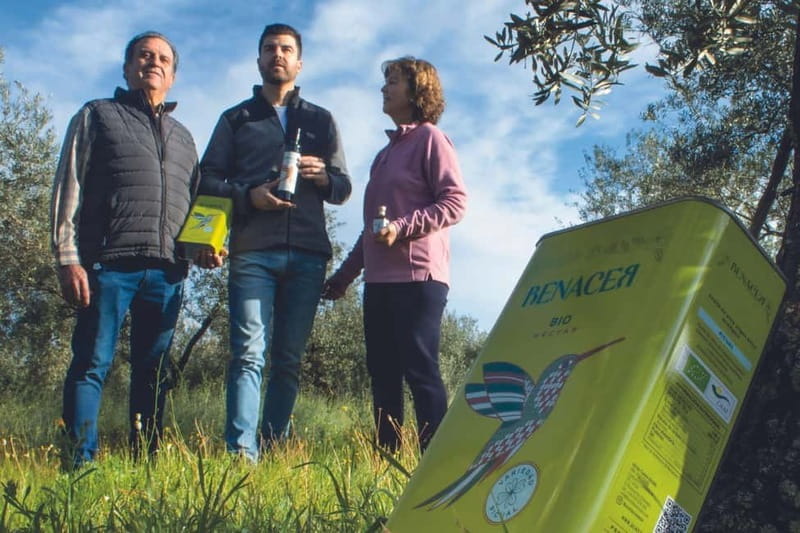 Organic EVOO tasting and guided visit to a family-run organic olive grove - The Experience in Detail: What to Expect from Start to Finish