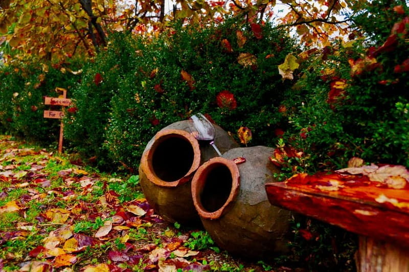 Organic Wine Full Day Private Tour With Tastings and Lunch - The Itinerary in Detail: What You’ll See and Do