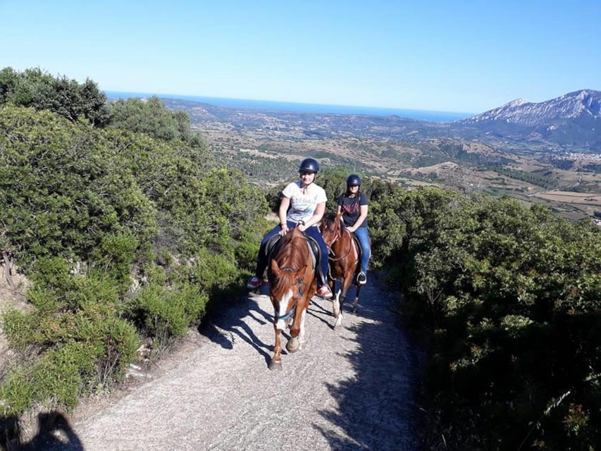 Orosei: horse riding on the beach - Why This Ride Is Suitable for Different Travelers