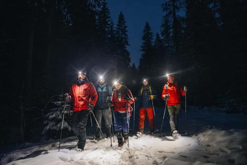Oslo Forest: Mystery Nocturne Walk with Headlamps - The Heart of the Experience: Stories and Firelight