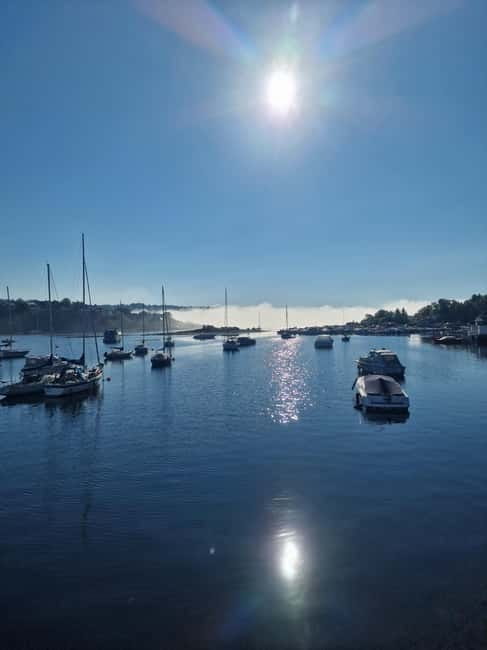 Oslo: Malmøya Island Guided Hike with Waffle and Drink - The Itinerary: A Well-Paced Journey through Natural Beauty