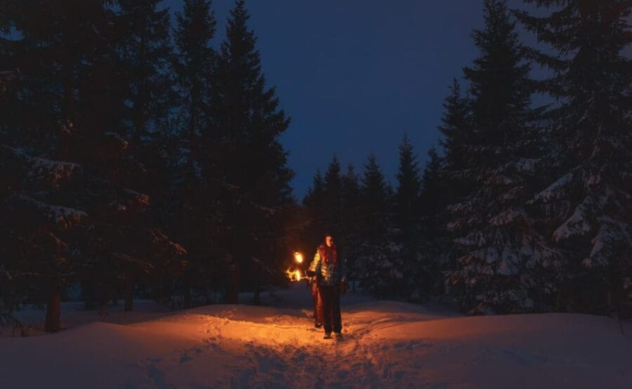 Oslo: Snowy Forest Torchlight Walk with Campfire - Who Will Love This Experience?