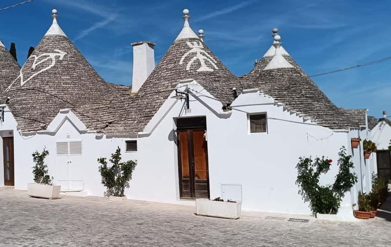 Ostuni: Alberobello, Locorotondo, Ostuni & Apulian brunch - Savoring Apulian Flavors: The Brunch and Olive Oil Tasting