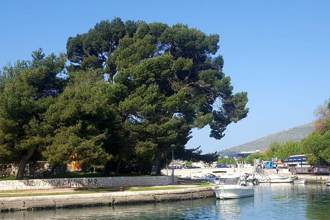 Outdoor adventure in Marjan hill in Split - The Value of a 4.5-Hour Outdoor Adventure