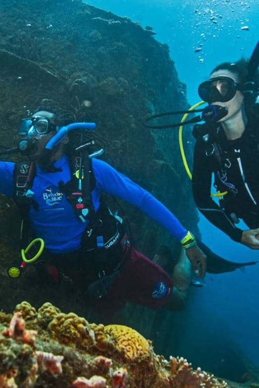 PADI Discover Scuba Diving Los Cancajos La Palma - Who Should Consider This Experience?