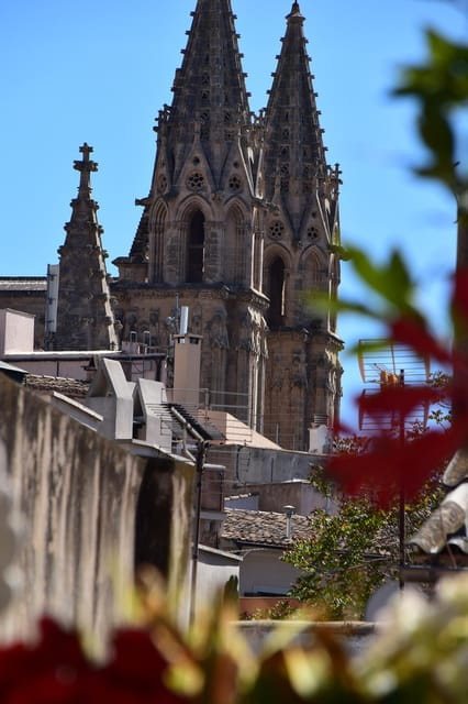 Paella over Palma - The Warm Welcome and Aperitif: A Perfect Start