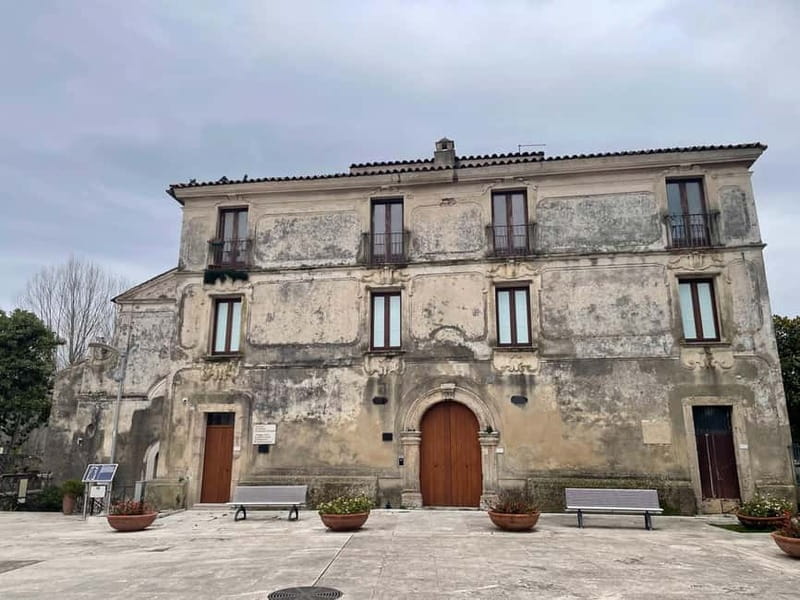 Paestum for cruise passengers - The Museum and Tomb of the Diver