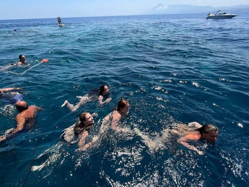 Palermo: excursion 4 hours group - The Experience: Comfort, Scenery, and Practicality