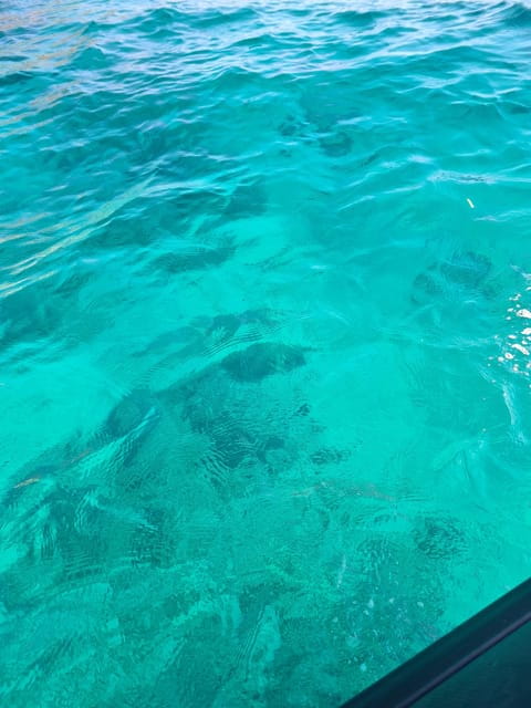 Palermo: HALF-DAY TOUR ON BOAT - Price and Value: Does the Tour Deliver?