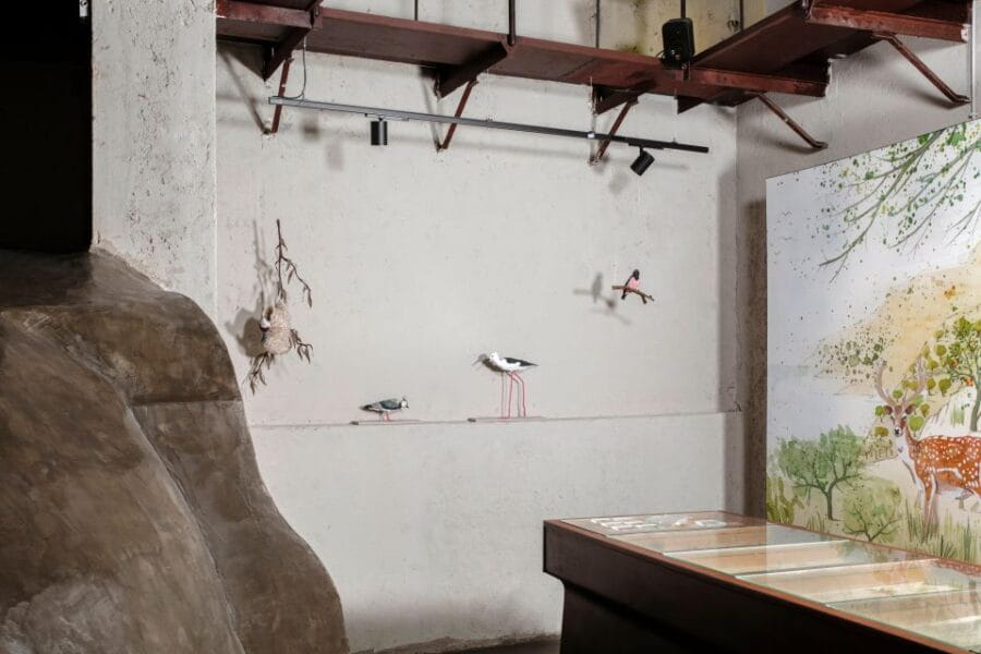 Palermo: sensorial experience of nature and ecology - Who Will Appreciate This Experience?