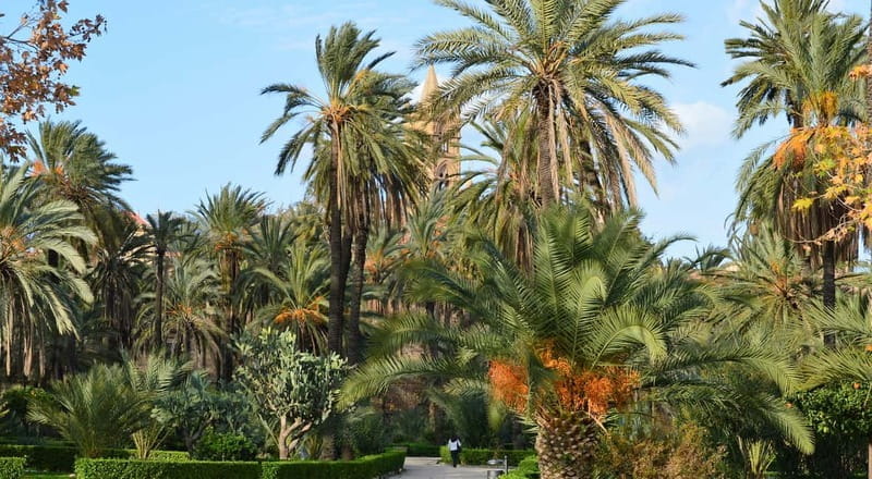 Palermo: Timeless Art & Architecture Trail - Price, Logistics & Overall Value