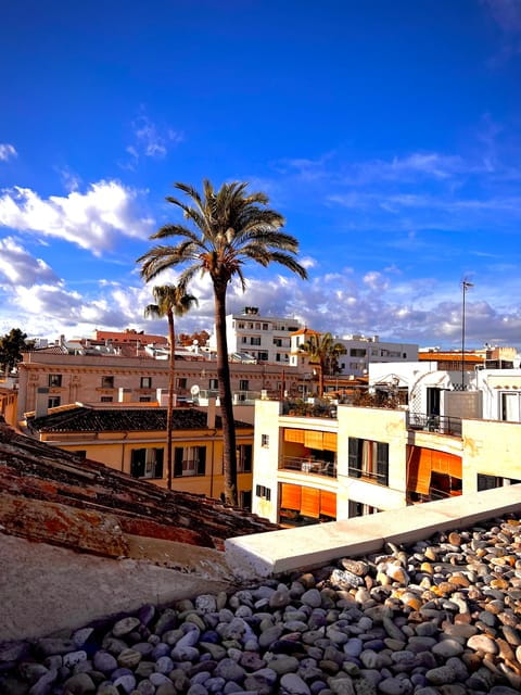 Palma authentically. City tour with snacks and wine - An In-Depth Look at the Experience