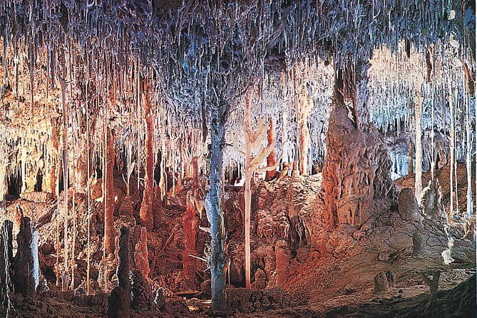 Palma de Mallorca Half-Day to Caves of Hams, Blue Cave and film - Hotel Transfers and Logistics