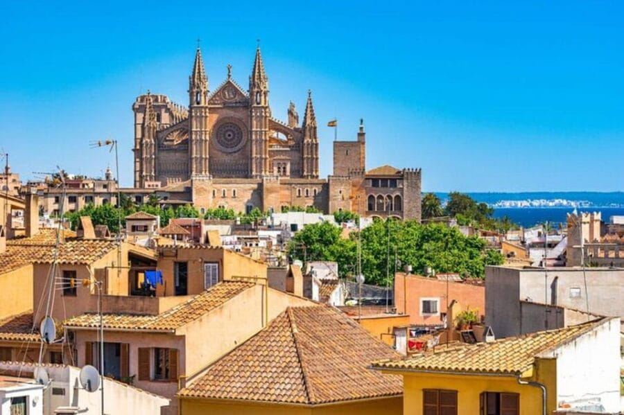 Palma de Mallorca : Must see Walking Tour With A Guide - Who Should Book This Tour?